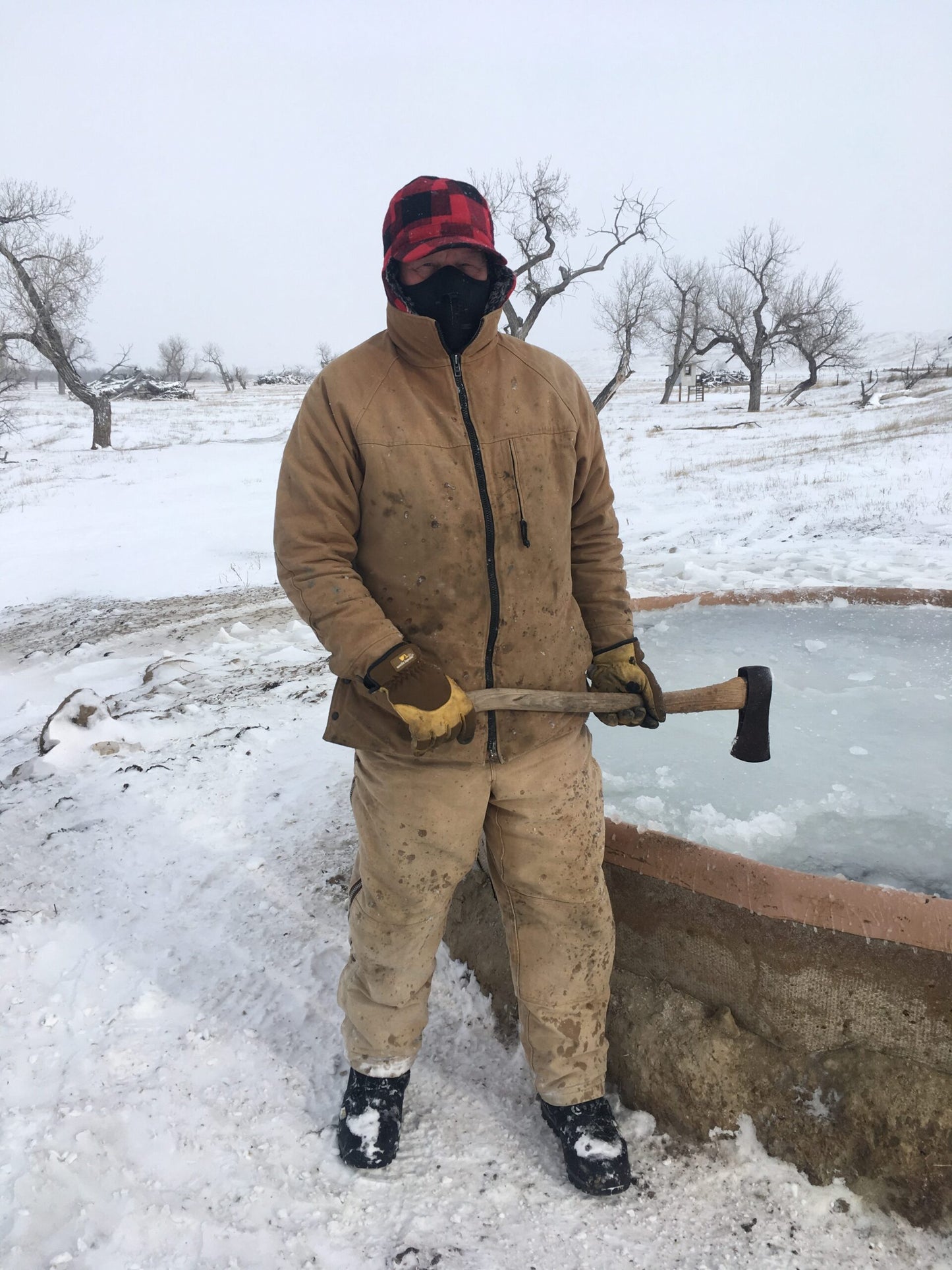 Cheyenne River Rancher - King of the Mountain