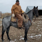 Cheyenne River Rancher - King of the Mountain
